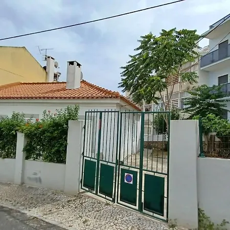 فيلة Belem By Vosdomus *